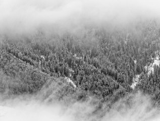 Floor Plans &&nbsp;Finishes